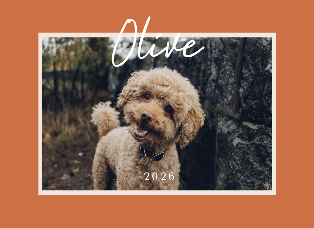 1 Photo layout